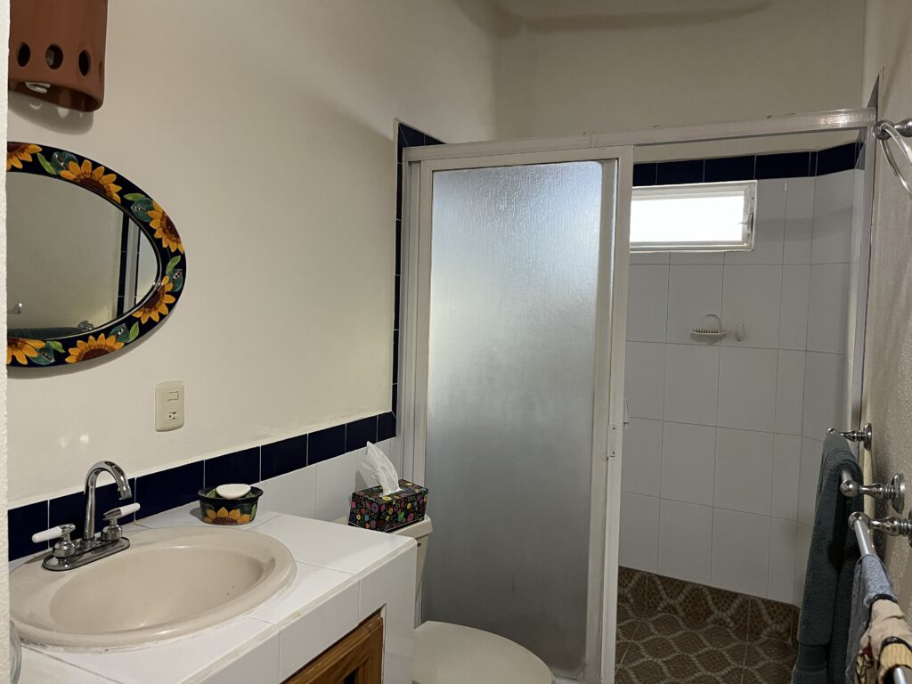 Ground floor bathroom