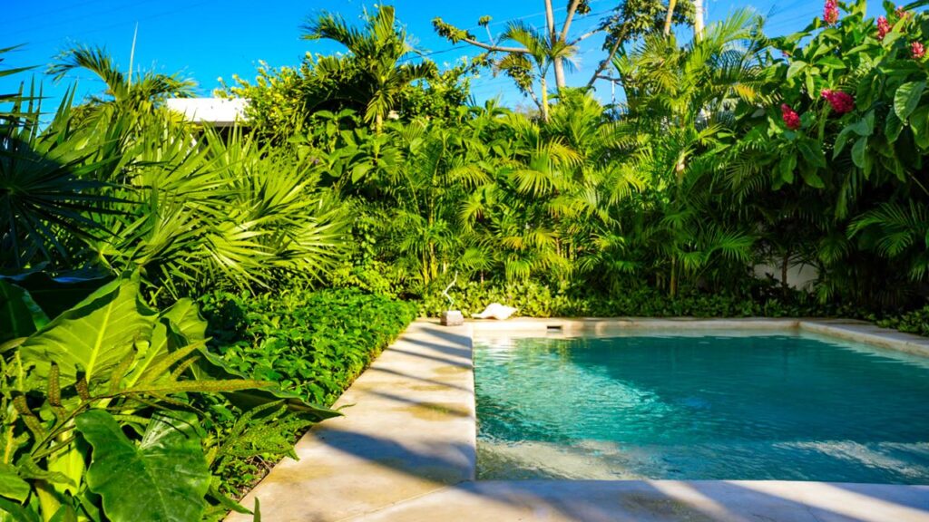 casa balam
la cruz
philos