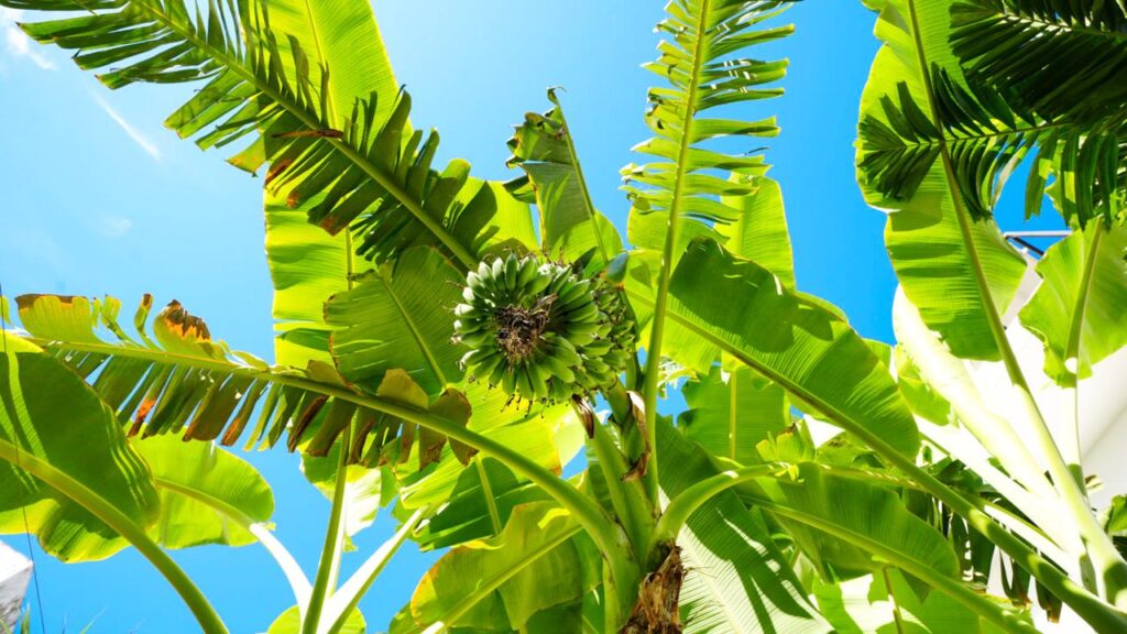 PHOTO-2025-04-16-14-08-03 9