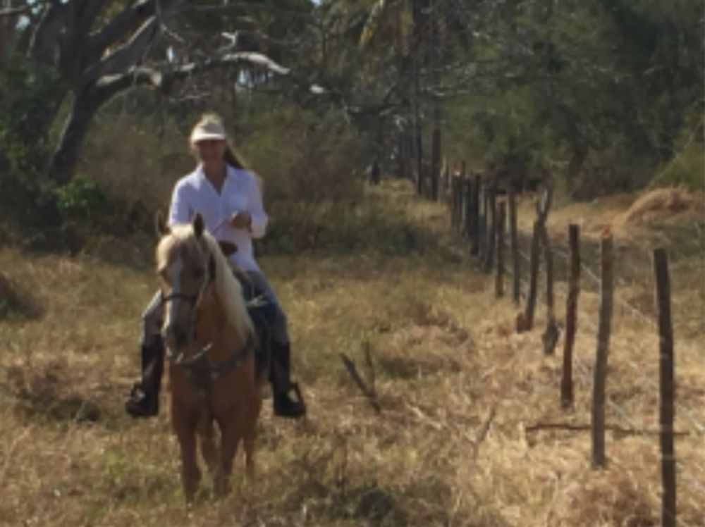 lote-lot-litibu-hectarea-hectare-cerca-de-la-playa-close-to-the-beach