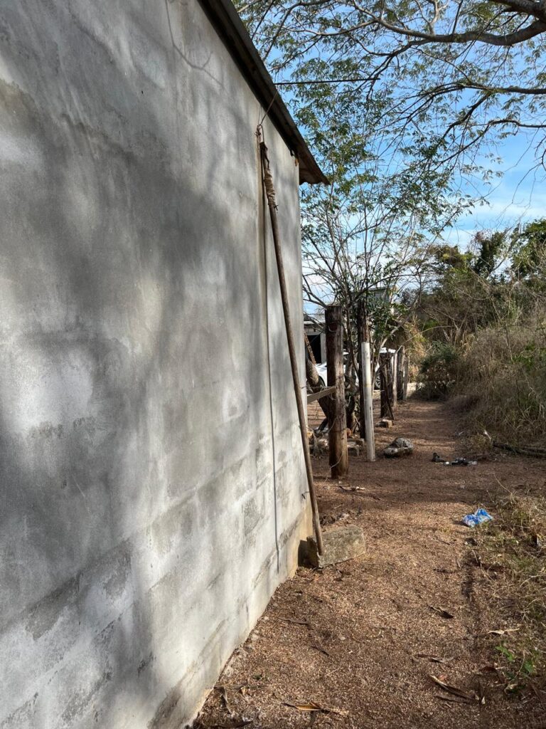 WhatsApp Image 2026-01-14 at 17.00.03