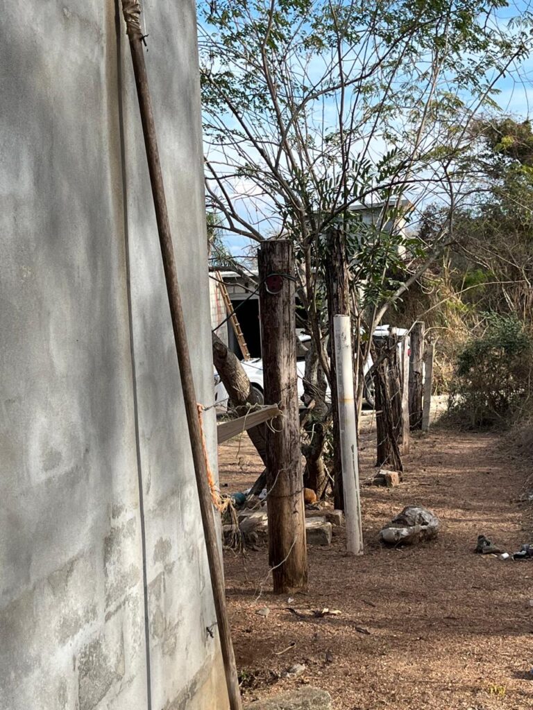 WhatsApp Image 2026-01-14 at 17.00.04