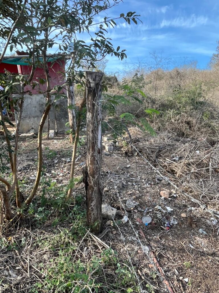 WhatsApp Image 2026-01-14 at 17.00.05