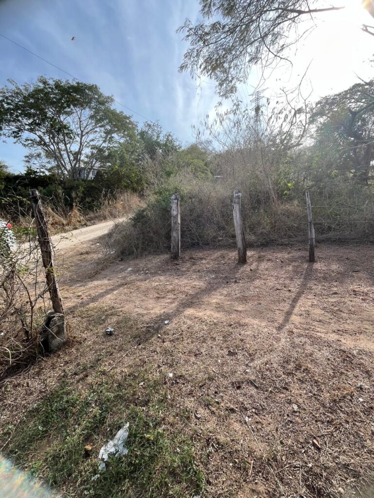 WhatsApp Image 2026-01-14 at 17.00.06 (3)