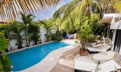 newsletter-casa-oasis-pic-december-2025-philos-la-cruz-real-estate-s